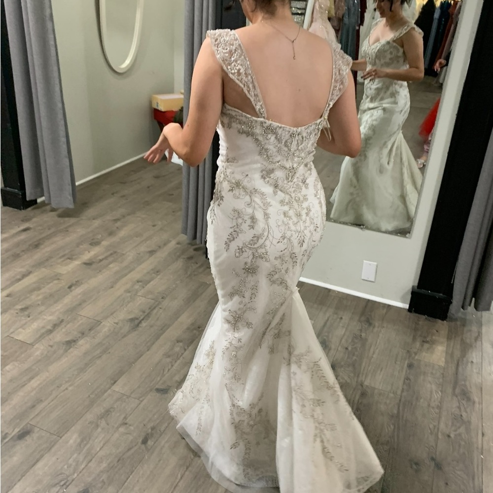 Wedding dress & Veil